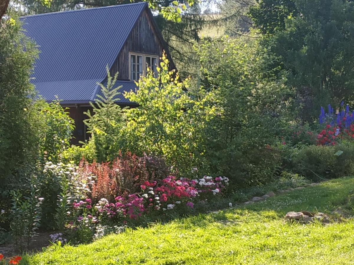 Sowinka Villa Lutowiska Exterior photo