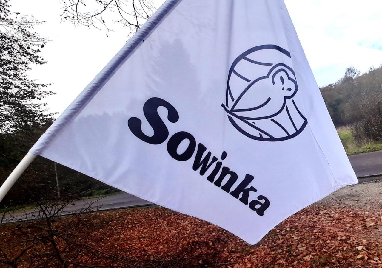 Sowinka Villa Lutowiska Exterior photo