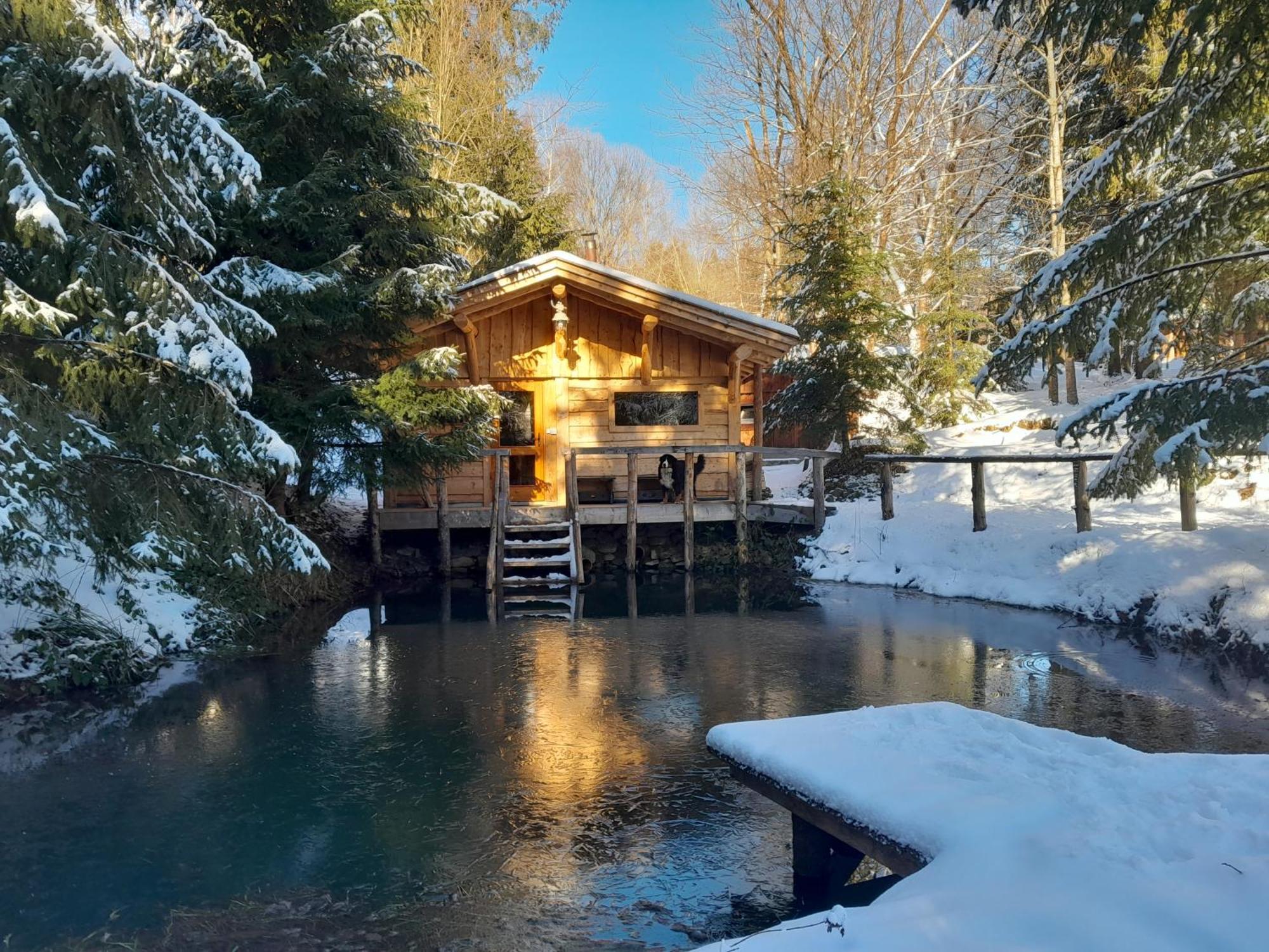 Sowinka Villa Lutowiska Exterior photo